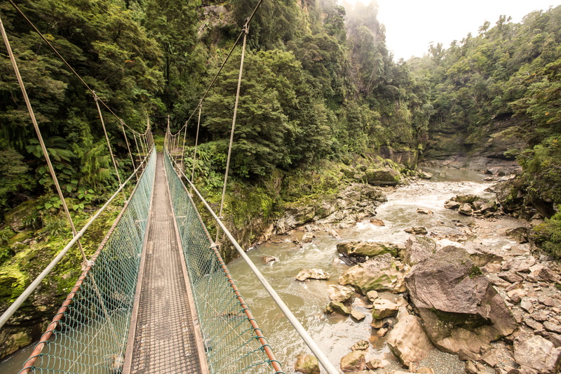 plant, tranquil scene, bridge - man made structure, forest, growth, day, no people, 5K, long, tree, rope bridge, track, diminishing perspective, direction