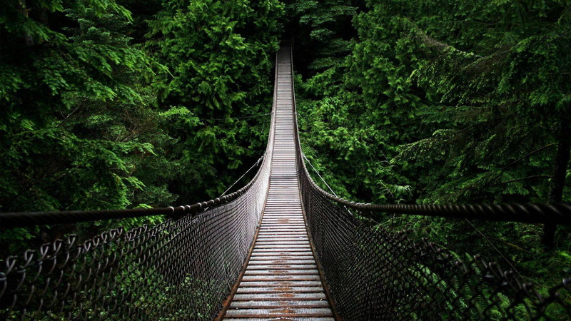 bridge, rainforest, 1080P, black, hd, hanging, rope, steel, wood