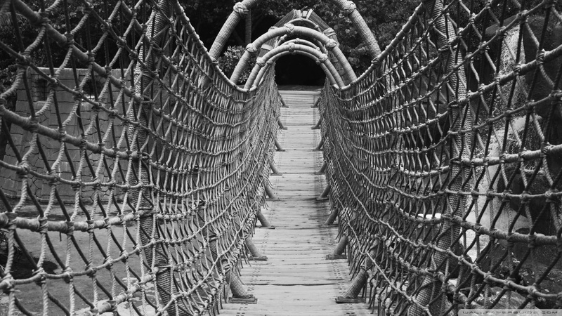 1080P, wonderful, wood, black and white, nature and landscapes, pedestrian, bridge, rope