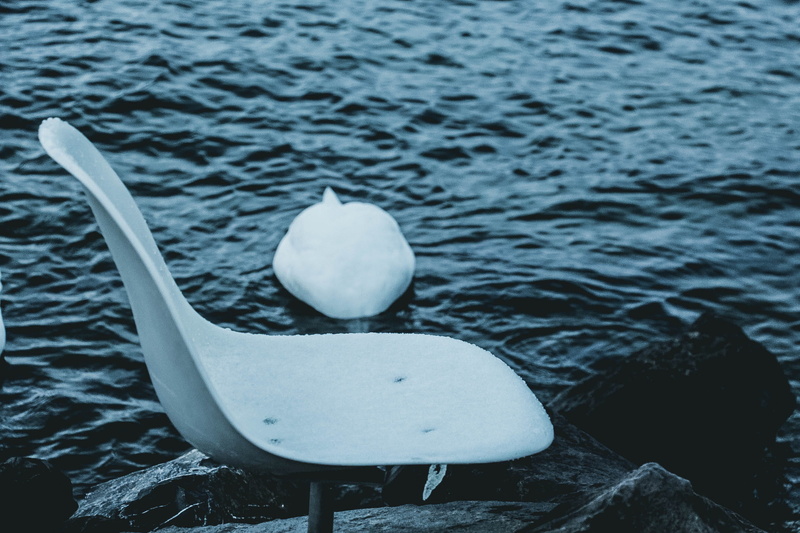 rock, marine, outdoors, day, bird, lac, rock - object, water, beauty in nature, focus on foreground, no people, floating on water, high angle view, 2K