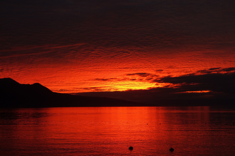 dramatic sky, lake, 5K, vevey, sunset, no people, reflection, romance, water, orange color, travel destinations, sky, romantic sky, cloud - sky, tranquility