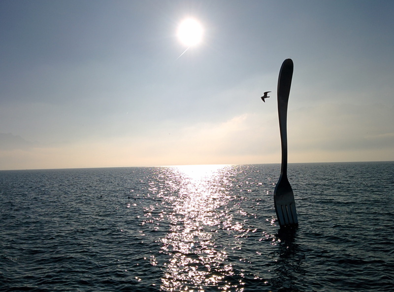 horizon over water, Fork, one animal, animals in the wild, silhouette, vertebrate, Lake, tranquility, sky, fork, bird, Switzerland, sea, water, animal wildlife