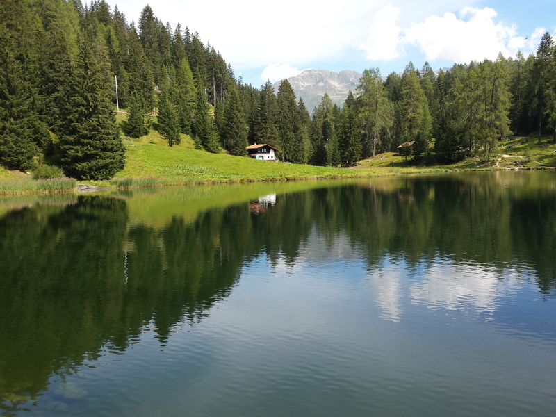 schwarzsee, day, tree, green color, outdoors, growth, smartphone, forest, tranquil scene, reflection lake, sky, reflection, non-urban scene, tranquility