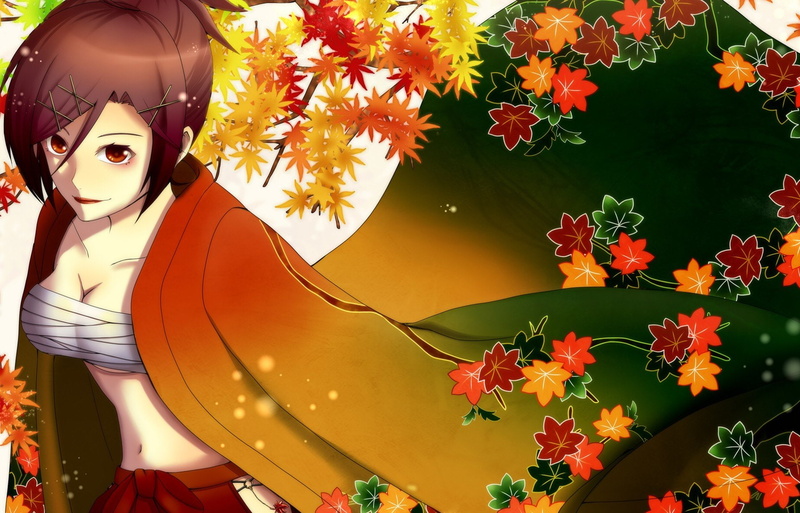 vocaloid, japanese, sarashi, meiko, clothes, 720P