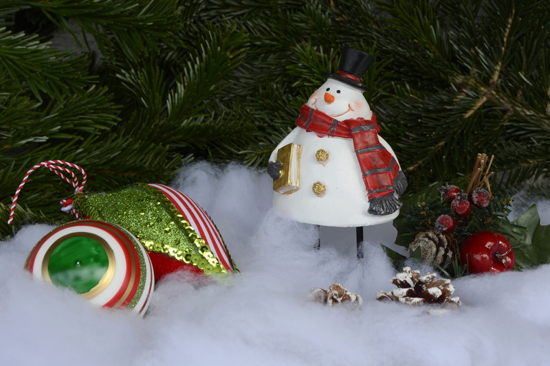 holiday - event, cold temperature, festival, celebration, plant, christmas greeting, christmas motif, photo, christmas time, snow, merry christmas, christmas balls