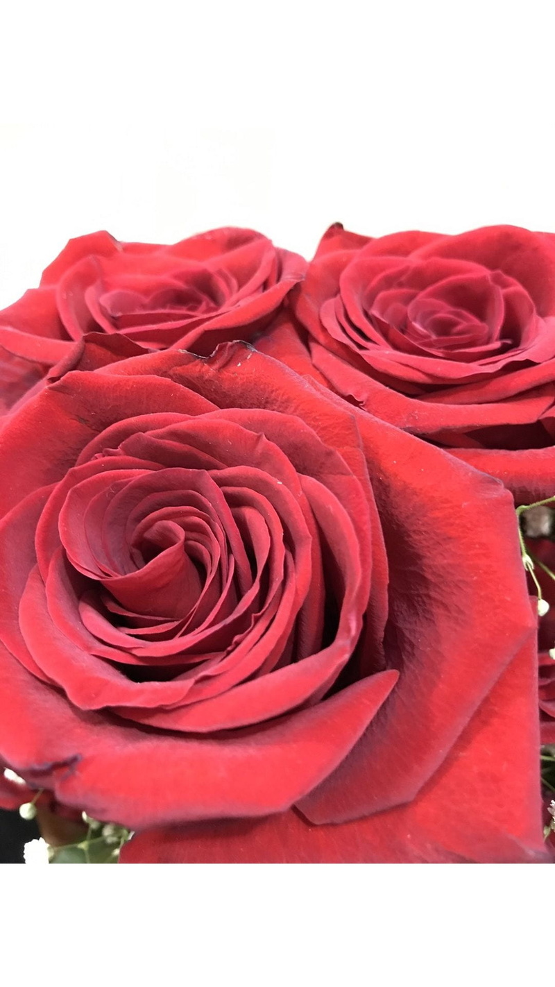 rose, no people, indoors, bouquet, close-up, petal, feast, flower head, beauty in nature, imported red roses, flower arrangement, scenery dinner, love