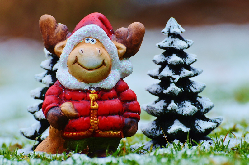 mammal, greeting card, food and drink, figurine, decoration, nature, happy fixed, snow, healthy eating, celebration, animal, christmas motif, merry christmas