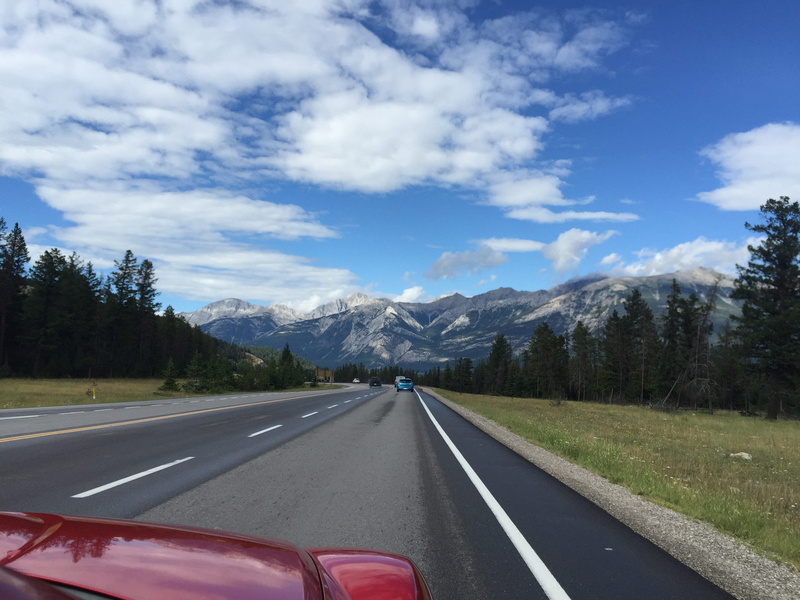 mountains, automobile, plant, car on road, dividing line, tree, tourism, family, diminishing perspective, transport, open road, day, design, travel, fast