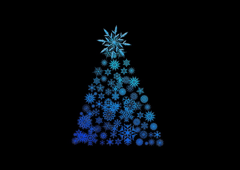 plant, christmas balls, family fast, no people, studio shot, illustration, motif, christmas, star, joy, winter, copy space, decoration, celebration event