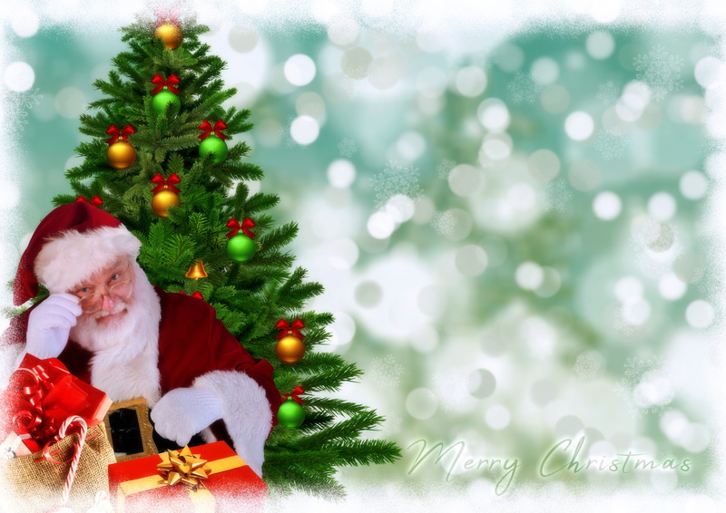 nicholas, christmas tree, copy space, background, no people, christmas motif, christmas lights, celebration event, winter, decorative, christmas time, holiday - event