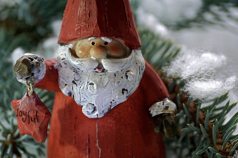 cute, cold temperature, december, holiday, nature, focus on foreground, cheerful, tree, day, funny, human representation, shallow, dwarf, christmas decorations