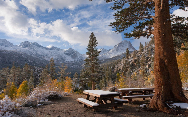 sunny, wooden, mountains, mountain, 1080P, tables, tree, 1920x1200, picnic, cloud, day, forest, nature, bench, white