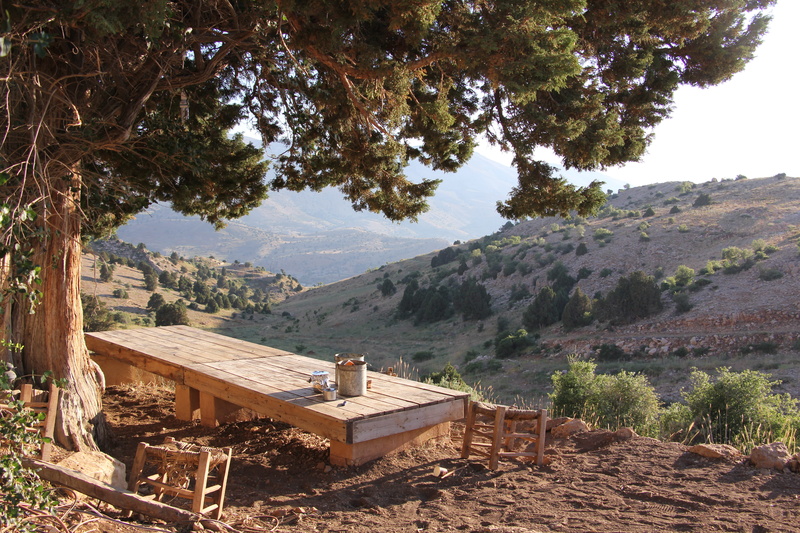 hill, plant, sky, picnic table, outdoors, nature, built structure, architecture, house, mountain, scenics - nature, day, picnic, wood - material, growth