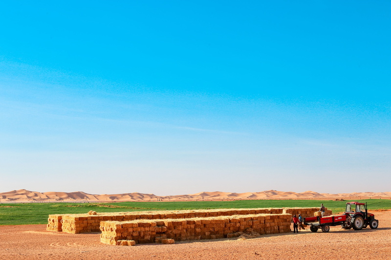 scenics - nature, machinery, agricultural machinery, nature, beauty in nature, farm, agriculture, environment, rural scene, land, blue, plant, day, agro industry