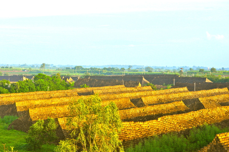 agro waste, india, day, landscape, land, nature, no people, outdoors, farm, velapur, tranquility, sky, 4K, field, environment, agriculture, storage, green color