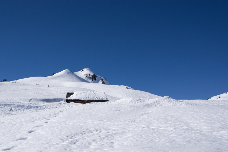 coniferous tree, snowcapped mountain, day, nature, clear sky, scenics - nature, blue, landscape, austria, log cabin, cold temperature, no people, snowed in
