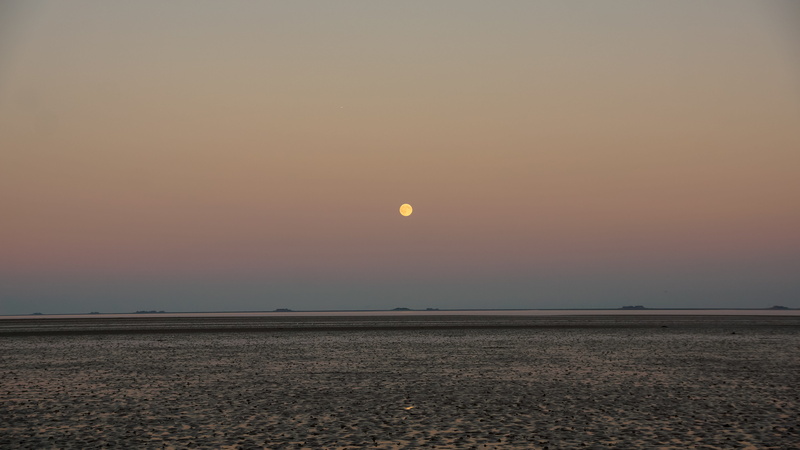 sky, Evening, environment, sun, tranquility, horizon over water, scenics, scenics - nature, landscape, Low Tide, island, idyllic, intertidal tone, sunset