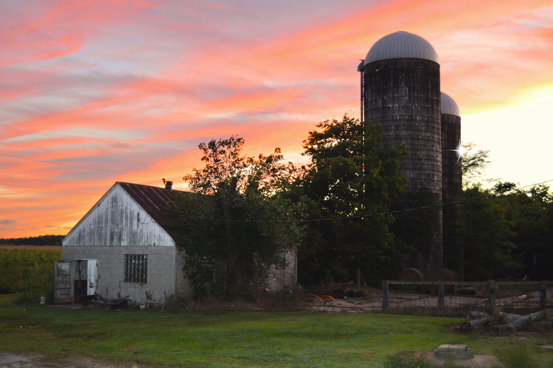 agricultural building, building exterior, sky, united states, no people, sunset, barn, built structure, nature, milking parlor, deterioration, murphysboro