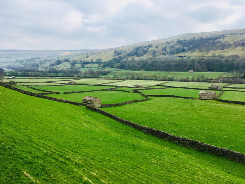 scenery, meadow, landscape, outdoors, tranquil scene, rural, yorkshire, mountain, land, swaledale, gunnerside, hill, wall, growth, agriculture, dales, barn