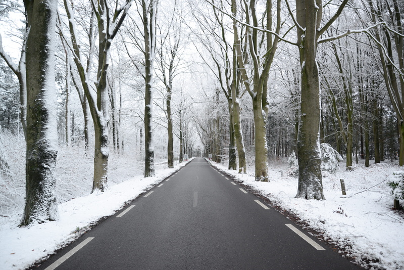 asphalt, zing, tranquility, transportation, frosty, treelined, scenery, diminishing perspective, tranquil, season, road, landscape, woodland, mist, snow