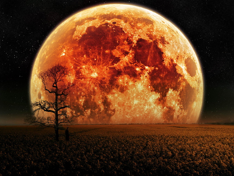 outdoors, 3D, moon, tree, astronomy, plant, galaxy, sky, beauty in nature, landscape, night, full, eclipse, field, illustration, orange color, planetary moon