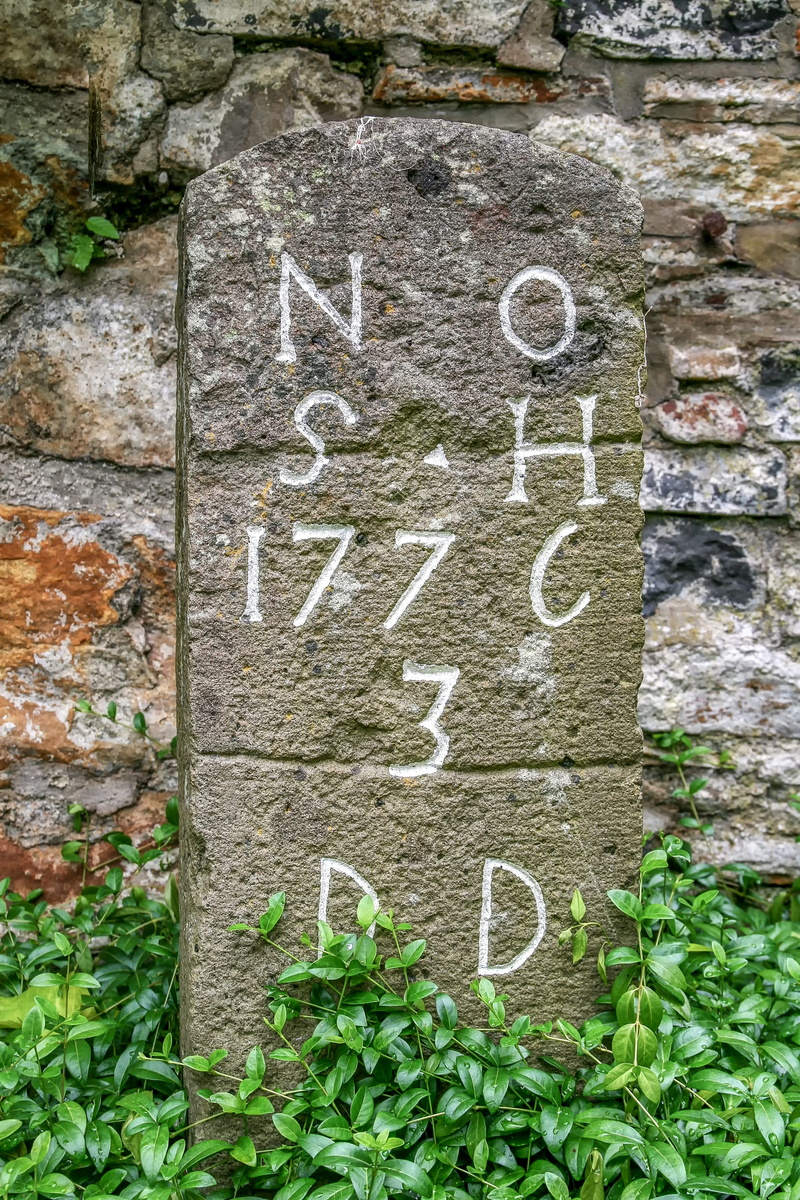 wall - building feature, western script, textured, nature, plant, message, inscription, architecture, grey, stone, close-up, directory, green, outdoors