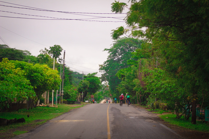 horizontal, diminishing perspective, tree, electricity, plant, road, sky, cable, real people, men, direction, nature, outdoors, 5K, field, asphalt, milestone