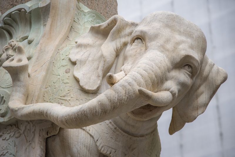 focus on foreground, carving - craft product, day, sculpture, mammal, creativity, rome, pachyderm, stone, architecture, art and craft, male likeness, human representation