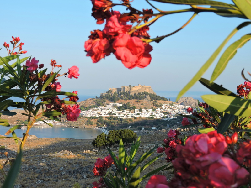 beauty in nature, sky, flower, red, outdoors, nature, 4K, springtime, vulnerability, day, plant part, pink color, plant, lindos, no people, leaf, flower head