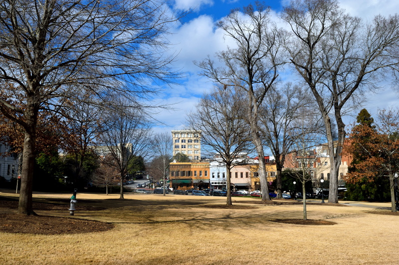 bare tree, sky, growth, buildings, built structure, blue, cloud - sky, athens georgia, outdoors, plant, park, tree, park - man made space, architecture