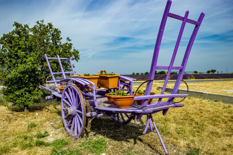 absence, 4K, Valensole, beauty in nature, no people, sky, wheel, nature, field, summer, green color, cart, mode of transportation, tranquility, Provence