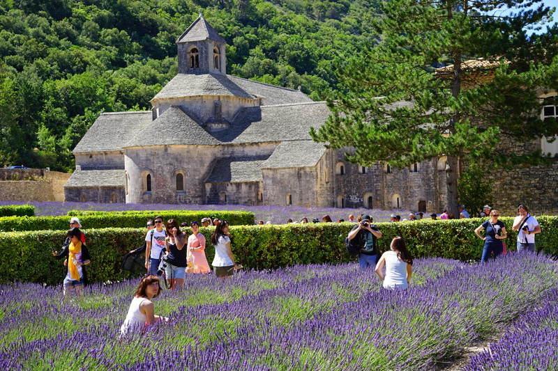 fragrant, spirituality, fragrance, flora, narrow leaf lavender, men, aromatic, gordes, personal, cultures, group of people, europe, lavandula officinalis