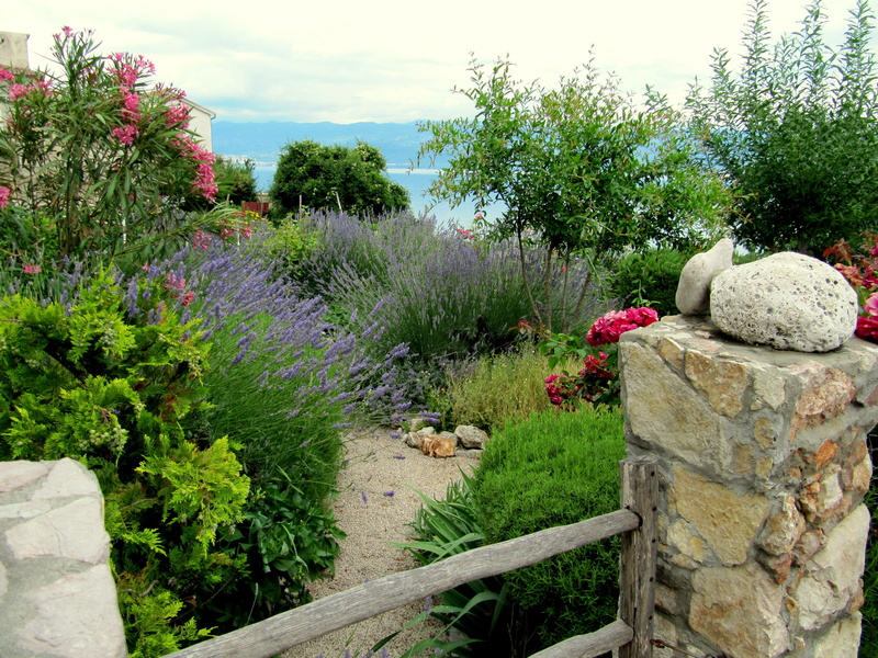 front or back yard, rosemary, oleander, rock - object, plants, blossom, flora, sky, no people, tree, Garden, growth, rock, scenics - nature, tranquil scene