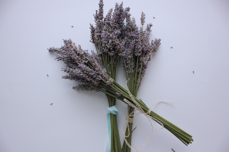 no people, plant stem, nature, purple, plant, scent, close-up, flower, growth, three, freshness, Lavender, herbal Medicine, flower arrangement, bouquet