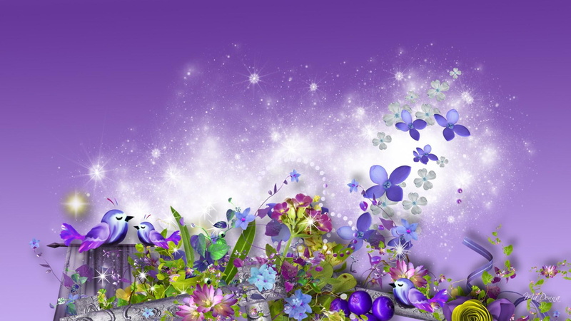 nature and landscapes, bright, stars, purple, glow, spring, flowers, bird, summer, 1080P, dreams, lavender