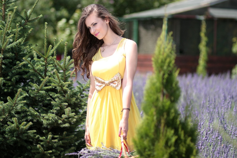 girl, women, smiling, young women, three quarter length, dress, standing, basket, one person, nature, young Adult, summer, long hair, holding, outdoors