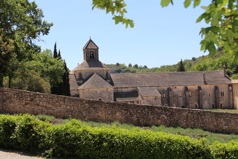 plant, history, vaucluse, built structure, outdoors, belief, 5K, abbey of senanque, day, green color, the past, place of worship, architecture, nature