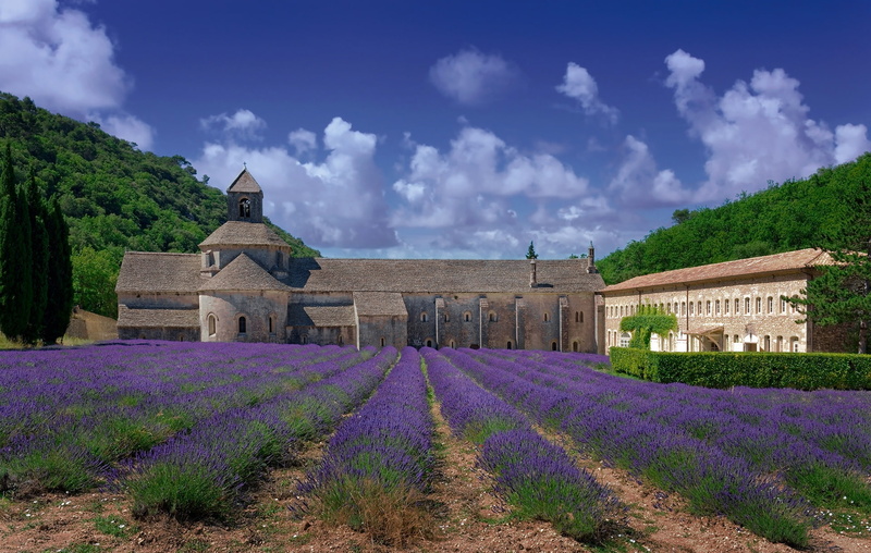 the monastery, clouds, Abbey, field, mountains, France, trees, the sky, the sun, At sénanque, 1080P, Senanque Abbey, lavender