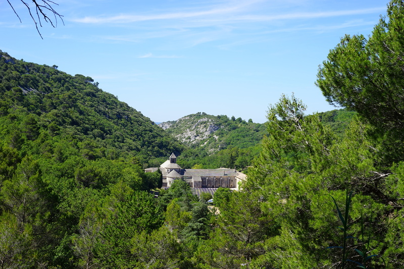 day, church, green color, scenics - nature, the order of cistercians, built structure, outdoors, notre dame de sénanque, tranquil scene, architecture, tranquility