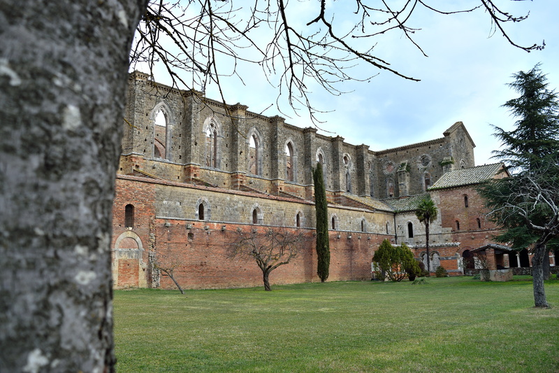 san, building exterior, outdoors, grass, plant, no people, cistercian, galgano, architecture, nature, castle, the past, wall, old, bare tree, history, stone wall