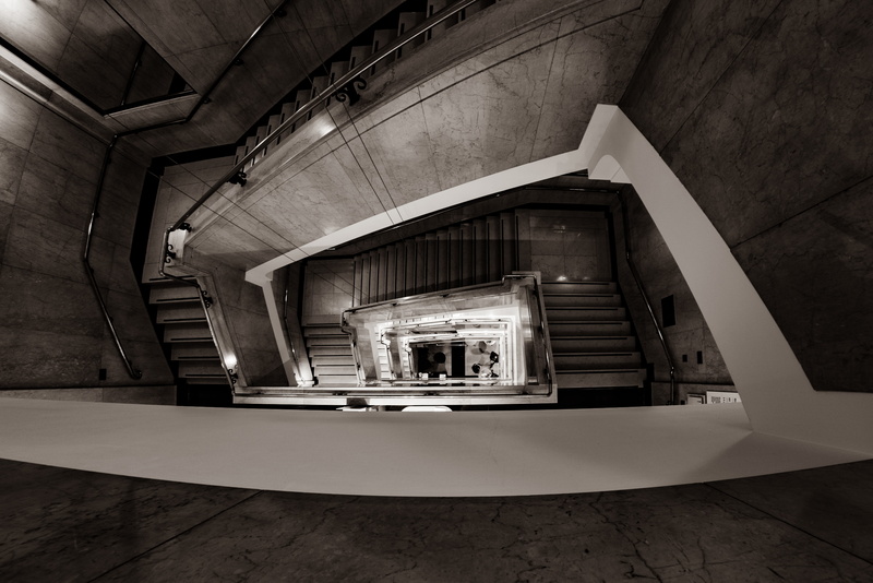 plant, floor, stage, ceiling, flower, food, spiral, crypt, banister, lighting, staircase, 4K, fisheye, stairs sepia tone fuji fujifilm, blossom, building
