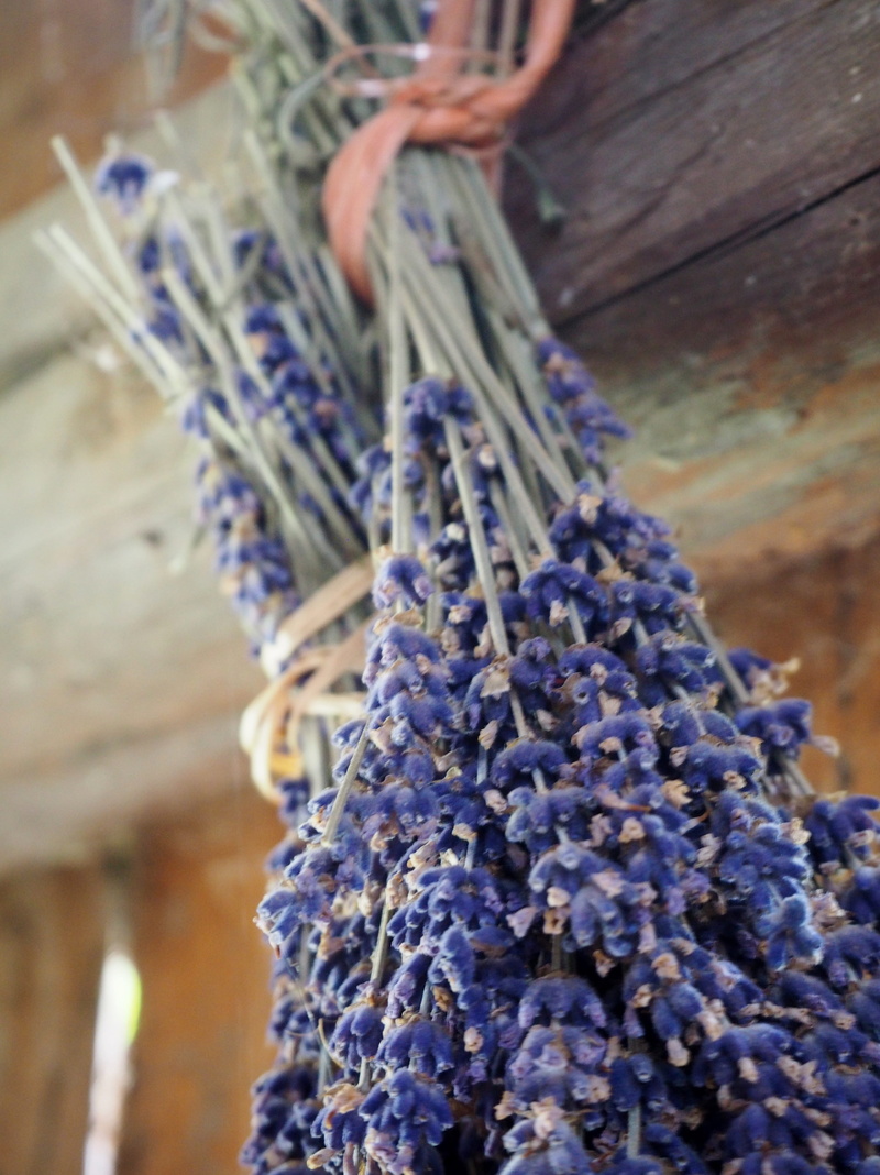 aroma, lavender, thread, photo, true lavender, wood - material, wool, close, garden flowers, working, close-up, textile, medicinal plant, flowers, nature