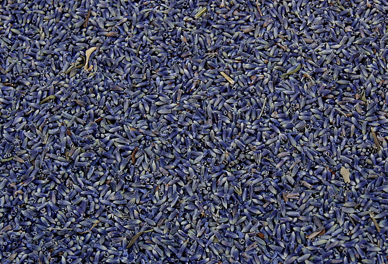 lavender, wellbeing, abstract, aromatherapy, aroma, flower, food, dried, lilac, close-up, abundance, no people, 1080P, heap, blue, full frame, seed, bouquet
