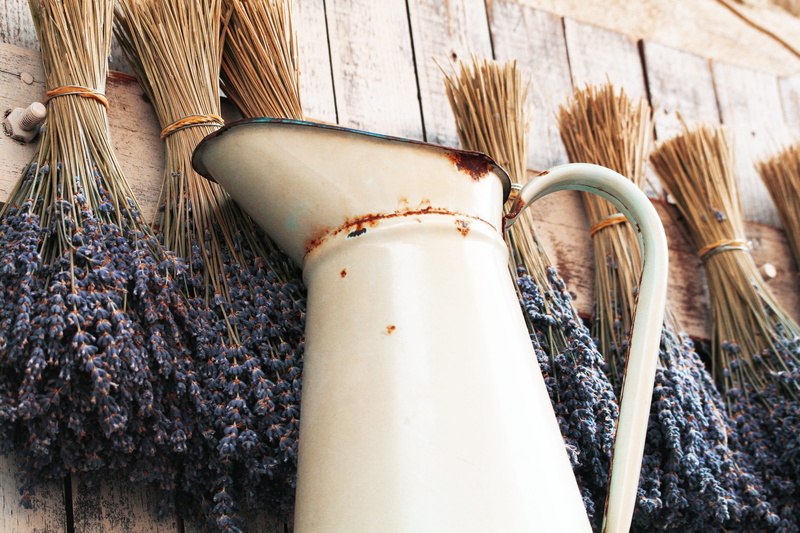 white, no people, broom, nature, healthy eating, industry, pitcher, still life, food, food and drink, Broc, high angle view, close-up, wall - building feature