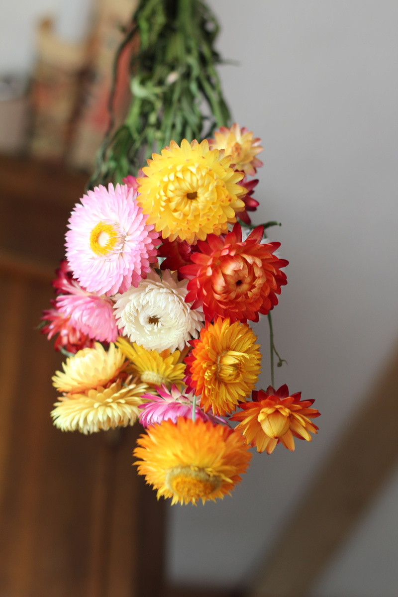 pollen, beauty in nature, yellow, freshness, close-up, dried flowers, focus on foreground, flower head, plant, bouquet, petal, 5K, flower, no people, flowers