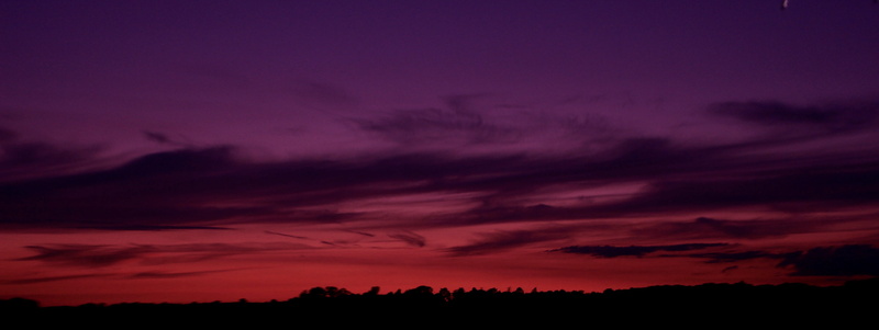 tranquility, abstract, awe, pink, pink color, train, edit, silhouette, nature, environment, united kingdom, purple, sky, 5K, cloudscape, cloudy, field