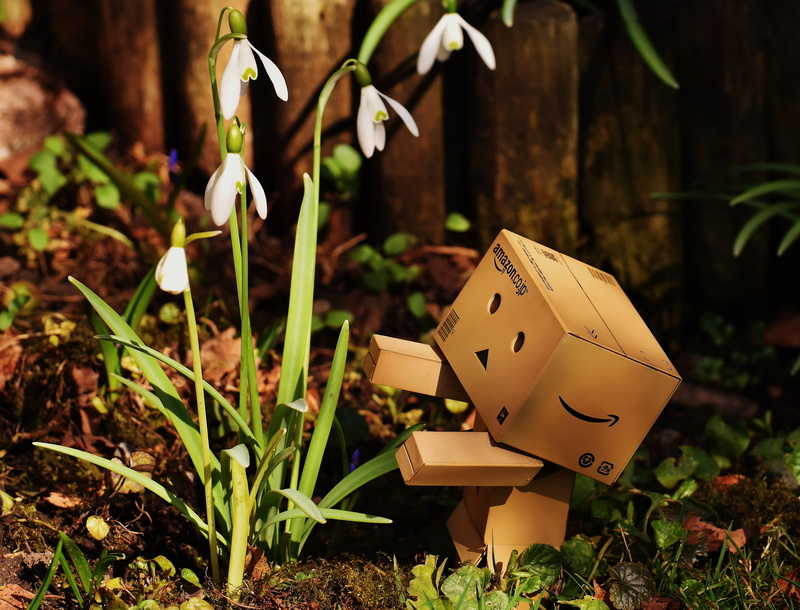 freshness, funny, outdoors, garden, amazon, figure, land, snowdrop, sunlight, plant, plant part, focus on foreground, brown, cardboard, flowers, beside