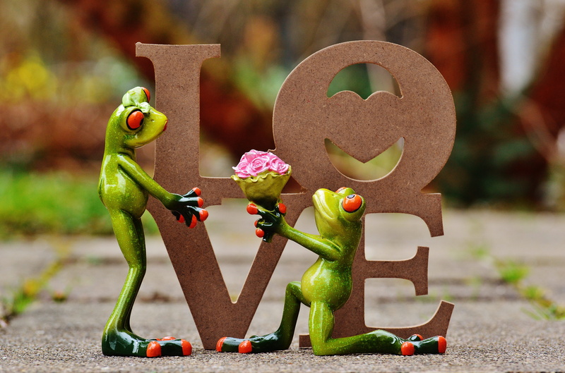 creativity, 5K, gift, toy, human representation, brown, sweet, excuse me, forgive, outdoors, multi colored, photo, funny, text, two, affection, close-up