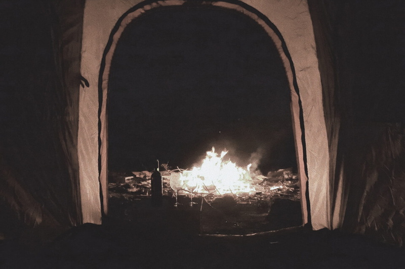 dark, luxury, Love, heat - temperature, girlfriend, together, valentine, toast, Wine, cheerful, built structure, woman, fireplace, party, celebration, young