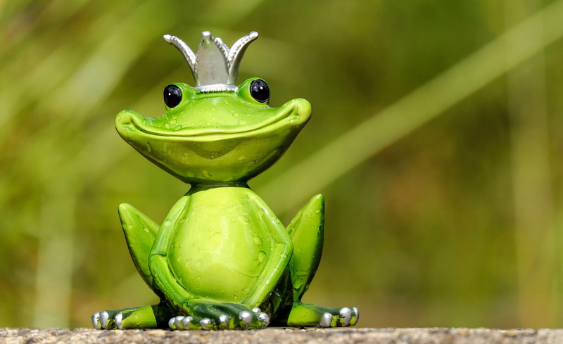one animal, outdoors, sweet, toy, close-up, close, amphibian, funny, no people, figure, animal themes, animal wildlife, fun, portrait, day, vertebrate